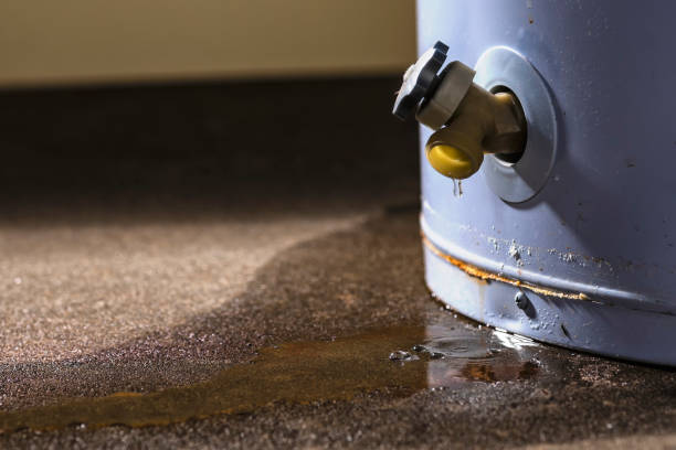 Best Flood damage cleanup  in Sublette, KS