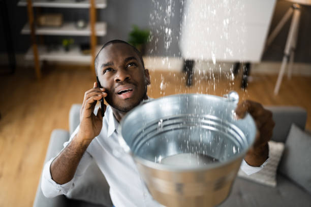 Best Water damage cleanup near me  in Sublette, KS