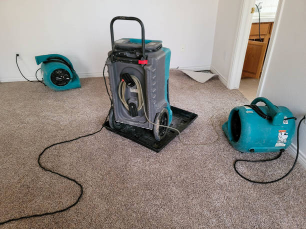 Best Residential water damage restoration  in Sublette, KS