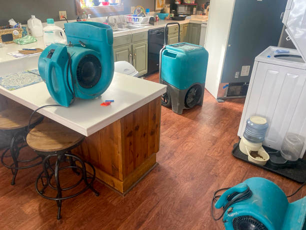 Best Water damage restoration services  in Sublette, KS