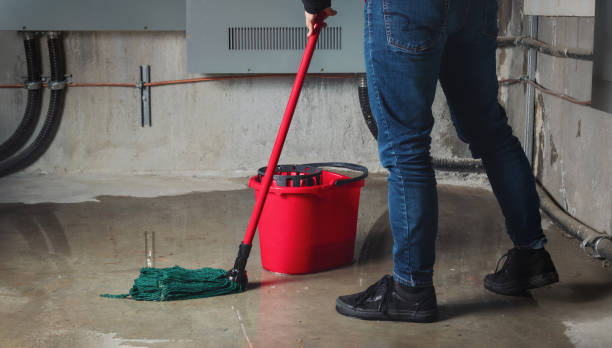 Best Local water damage restoration  in Sublette, KS