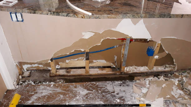 Best Professional water damage repair  in Sublette, KS