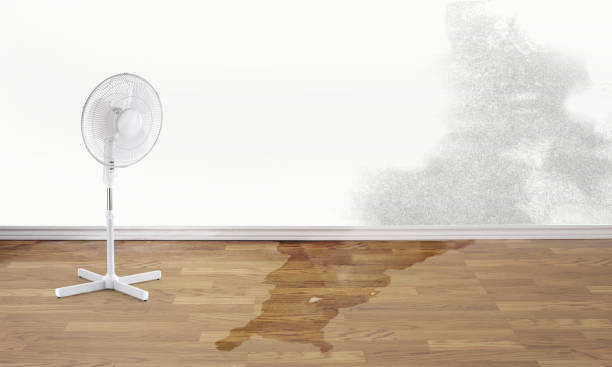 Reliable Sublette, KS Water damage restoration Solutions
