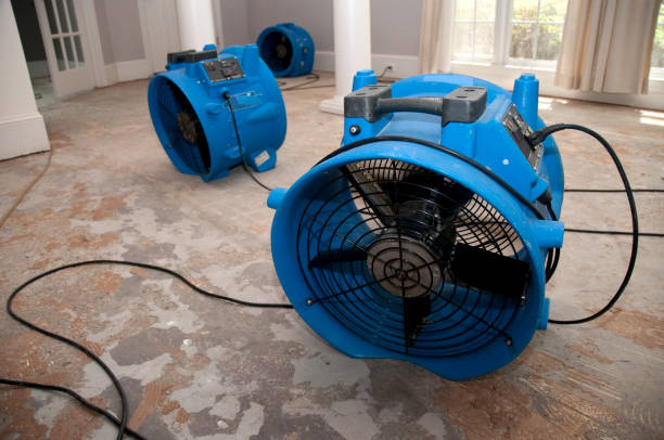 Best Fire Damage Restoration  in Sublette, KS