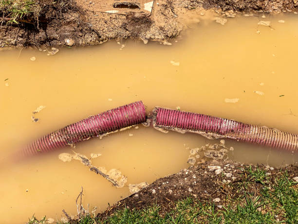 Best Water damage cleanup near me  in Sublette, KS