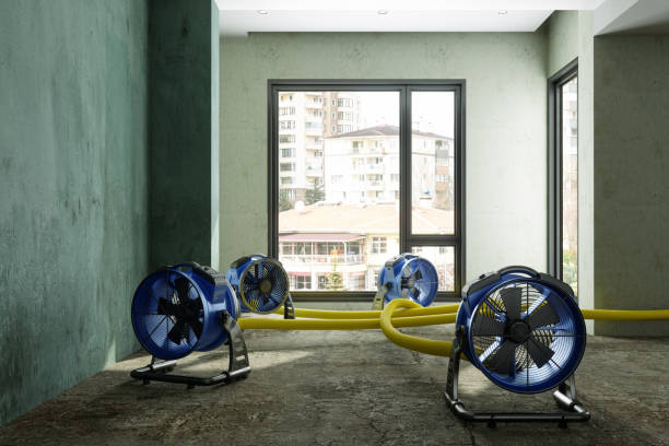 Best Water damage restoration near me  in Sublette, KS
