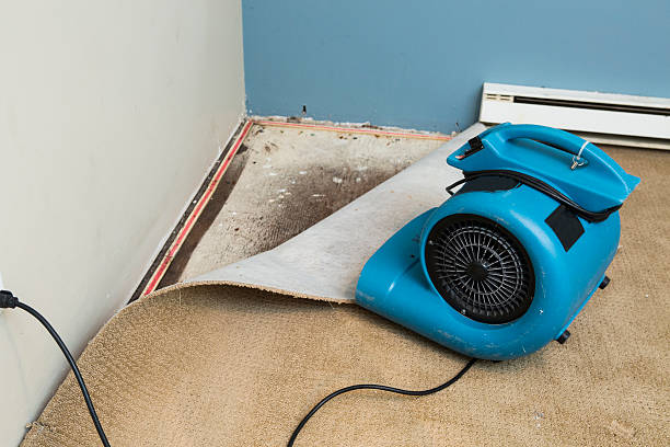 Best Commercial water damage restoration  in Sublette, KS